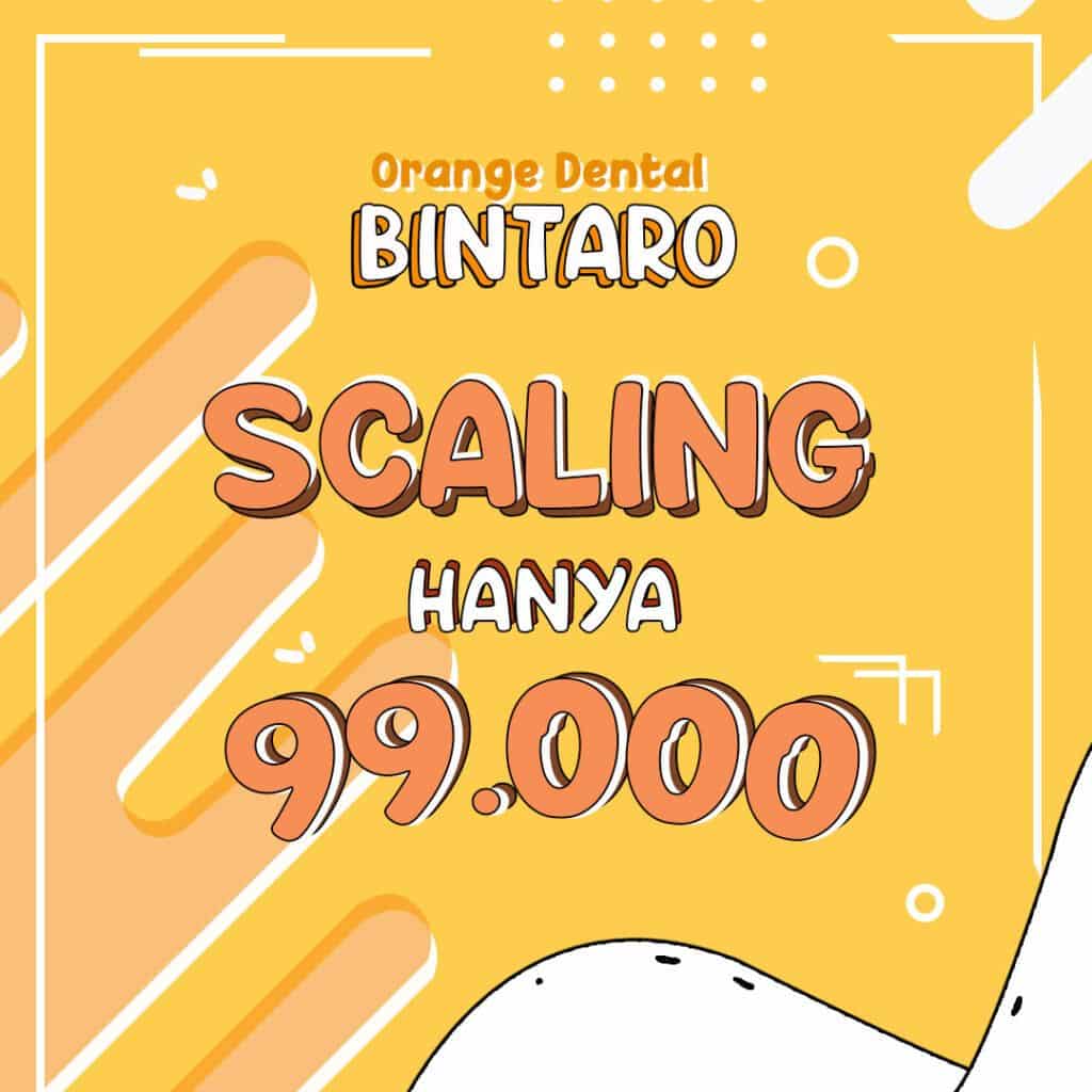 bintaro scalingS