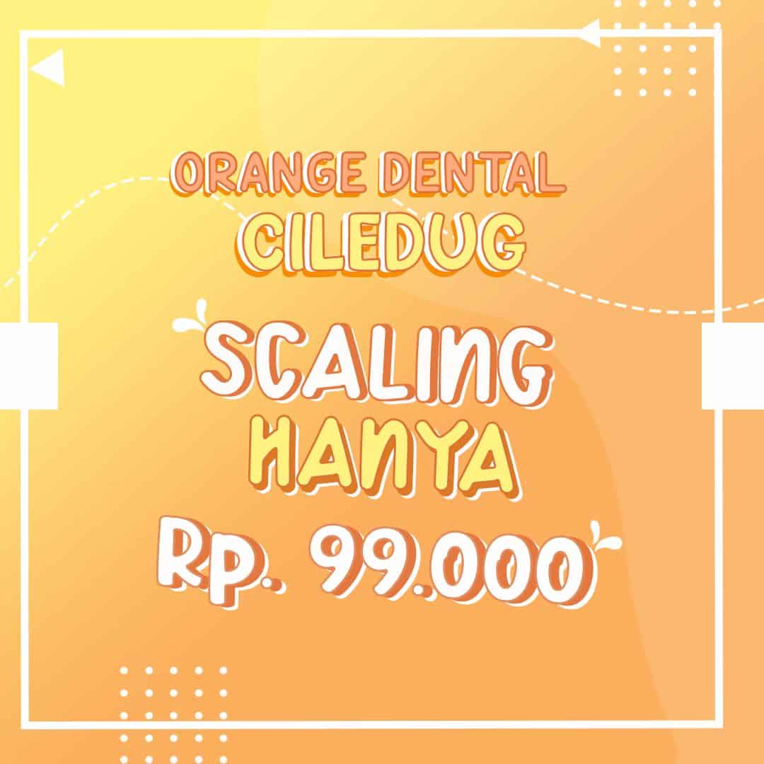 Ciledug Scaling Feed